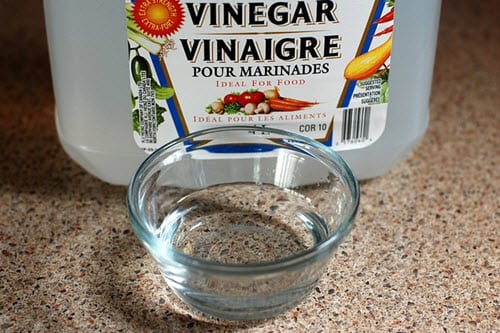 vinegar the natural cleaner